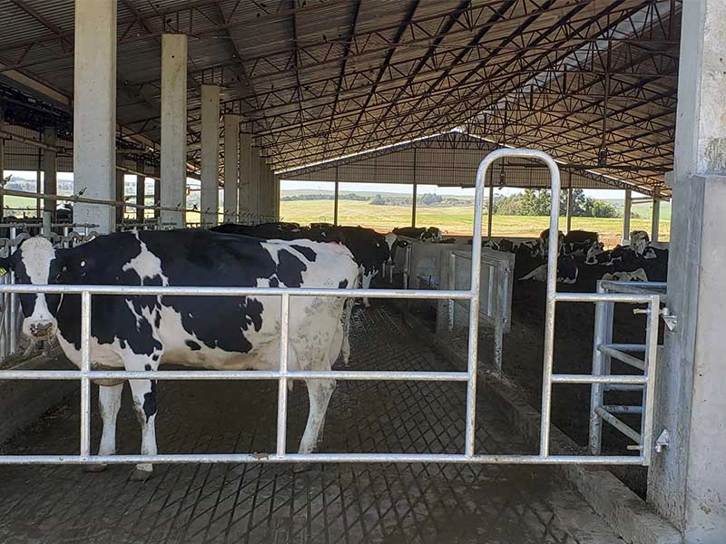AS Projetos e Pré Moldados